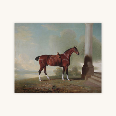 CHESTNUT HUNTER — Primary Image