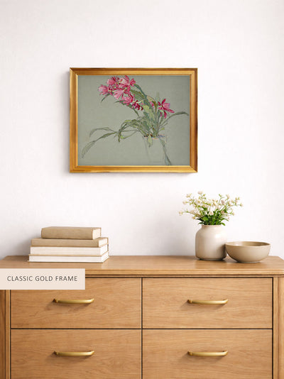 Christmas Cactus