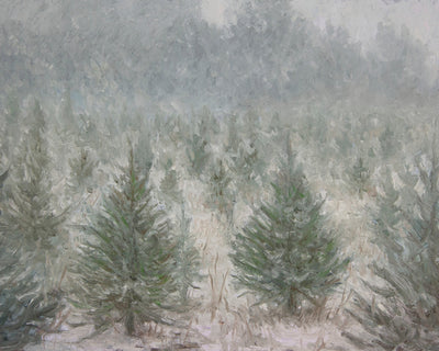 CHRISTMAS TREE FARM