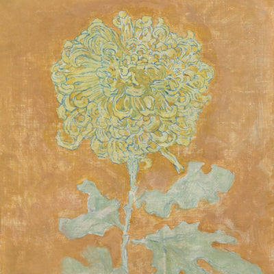 Chrysanthemum