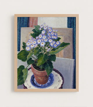CINERARIA