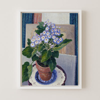 CINERARIA