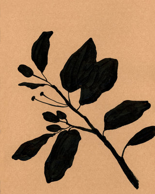 CITRUS BRANCH IN BLACK II