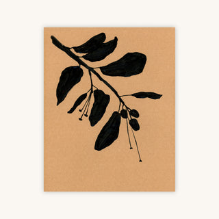 CITRUS BRANCH IN BLACK I — Primary Image