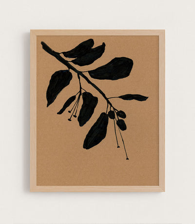 Citrus Branch in Black I