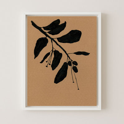 Citrus Branch in Black I