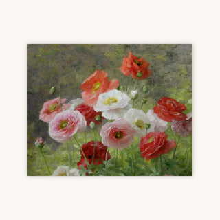 CLUSTER OF POPPIES — Primary Image