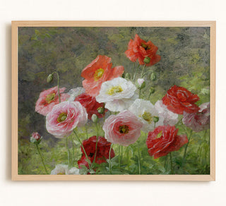 Cluster of Poppies