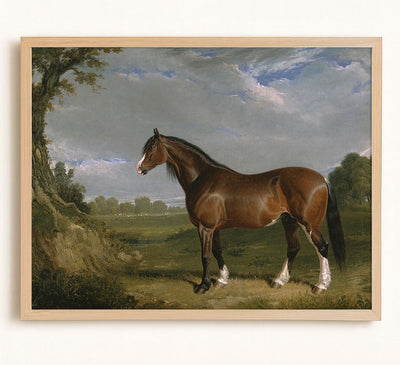 CLYDESDALE STALLION - Museum Quality Art