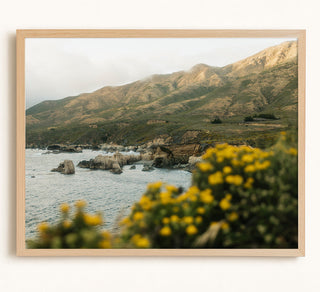 Coastal Stillness