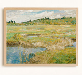 Concord Meadow