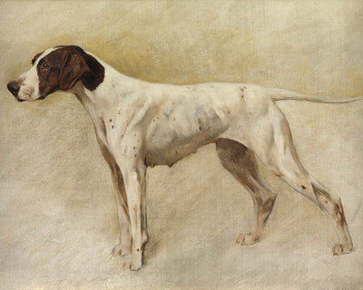 Coronation, 1905