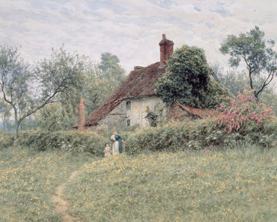 Cottage Garden
