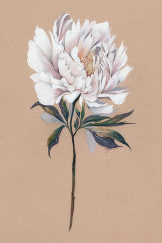 COTTAGE PEONY - Museum Quality Art