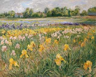 COTTAGES AND IRIS FIELD - Museum Quality Art