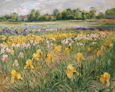 COTTAGES AND IRIS FIELD - Museum Quality Art
