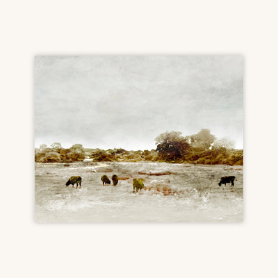 COWS BY THE SEA — Primary Image