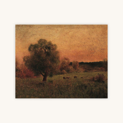 COWS IN A FIELD — Primary Image