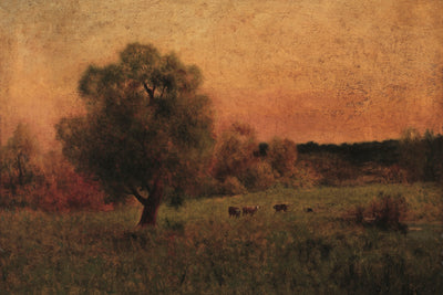COWS IN A FIELD