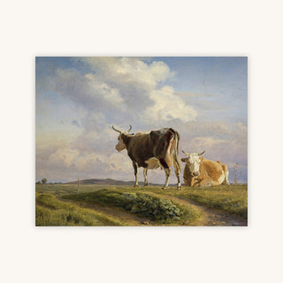 COWS — Primary Image