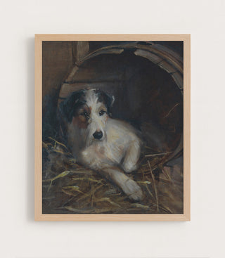 Creature Comforts, a Terrier in Its Bed