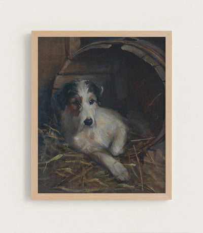 Creature Comforts, a Terrier in Its Bed