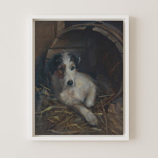 Creature Comforts, a Terrier in Its Bed