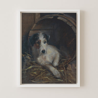 Creature Comforts, a Terrier in Its Bed