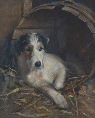 CREATURE COMFORTS A TERRIER IN ITS BED - Museum Quality Art