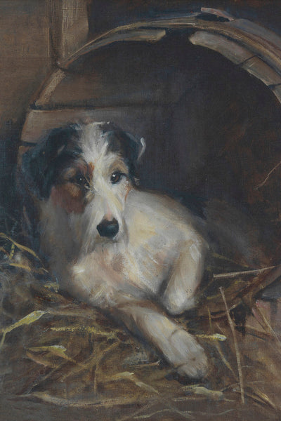 CREATURE COMFORTS A TERRIER IN ITS BED - Museum Quality Art