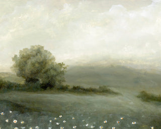DAISY FIELDS II