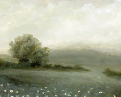 DAISY FIELDS II