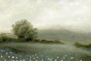 DAISY FIELDS II