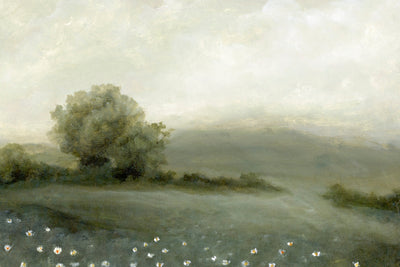 DAISY FIELDS II