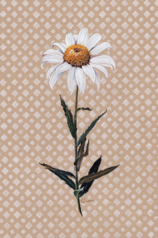 DAISY SUMMER - Museum Quality Art