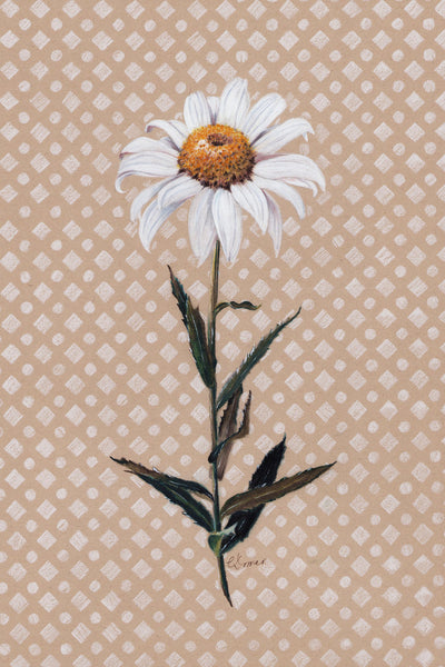 DAISY SUMMER - Museum Quality Art