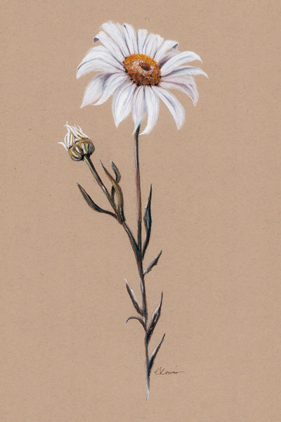 DAISY SUMMER II - Museum Quality Art