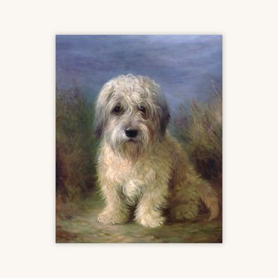 DANDIE DINMONT TERRIER — Primary Image
