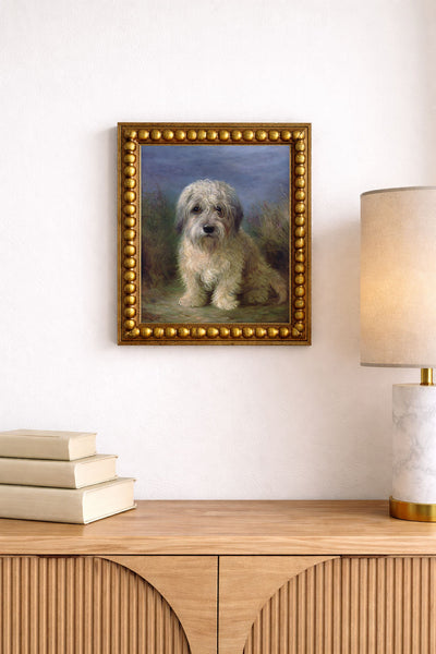Dandie Dinmont Terrier