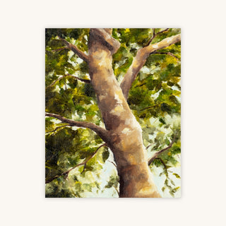 DAPPLED — Primary Image