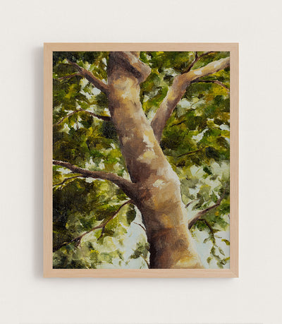 DAPPLED - Museum Quality Art