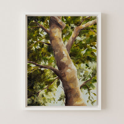 DAPPLED - Museum Quality Art