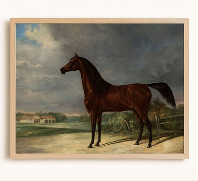 DARK BAY HORSE - Museum Quality Art