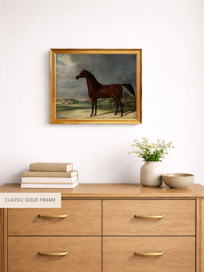 Dark Bay Horse