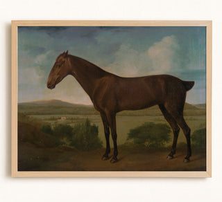 DARK BROWN HORSE - Museum Quality Art