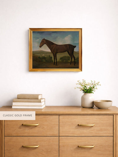 Dark Brown Horse