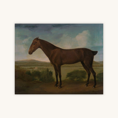 DARK BROWN HORSE — Primary Image