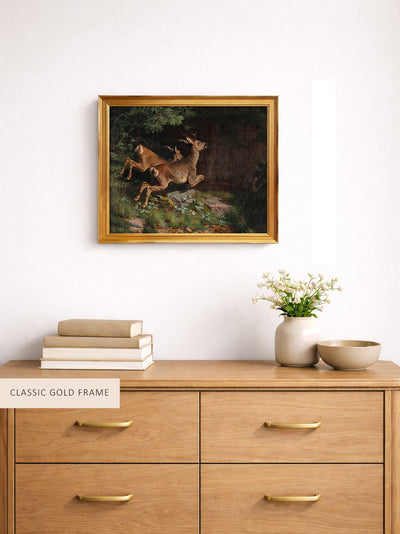 Deer
