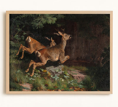 Deer