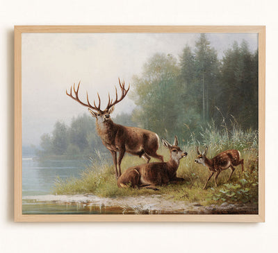 DEER - Museum Quality Art